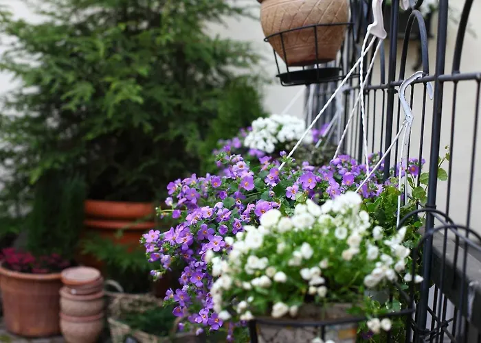 Hotell The Three Sisters Tallinn