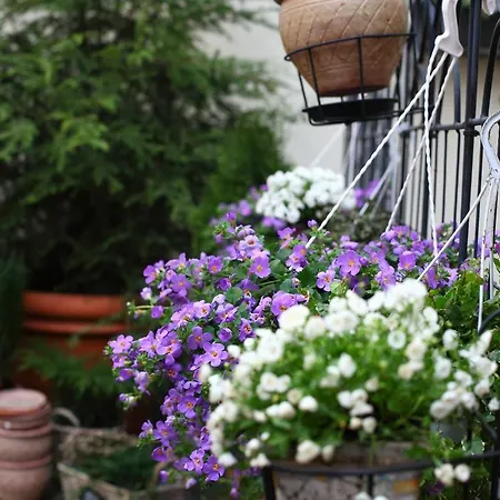 Hotel The Three Sisters Tallinn